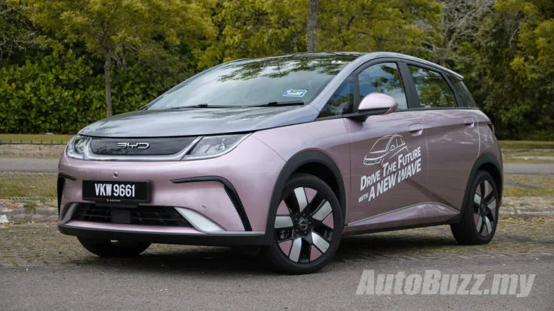 BYD Dolphin Sky Blue