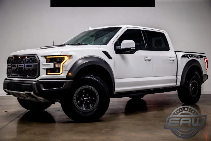 Ford F-150 Raptor R Ingot Silver Metallic