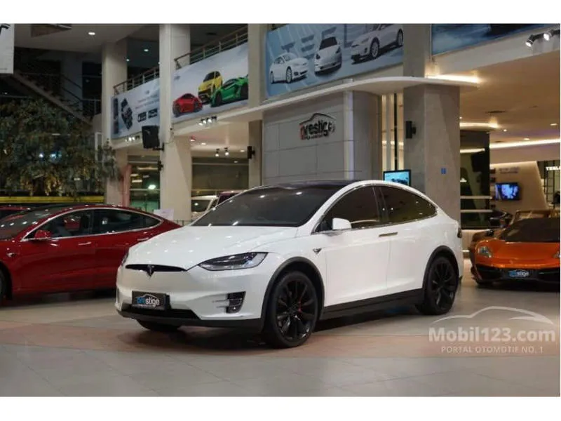 Tesla Model X Perak Metalik