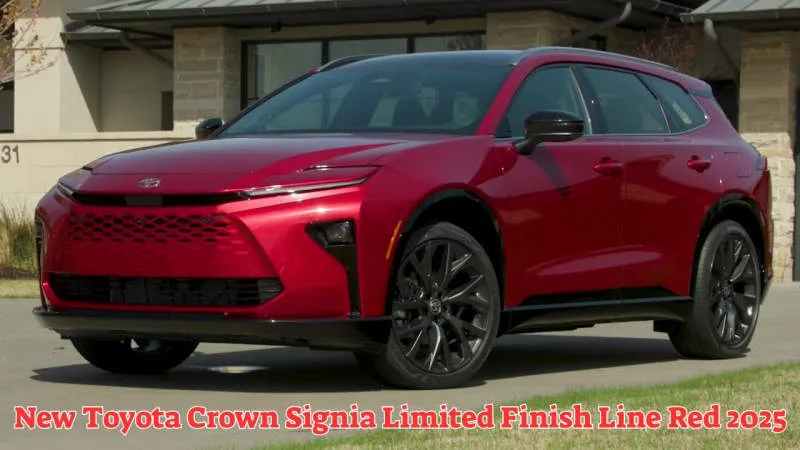 Toyota Crown Signia Magnetic Gray Metallic