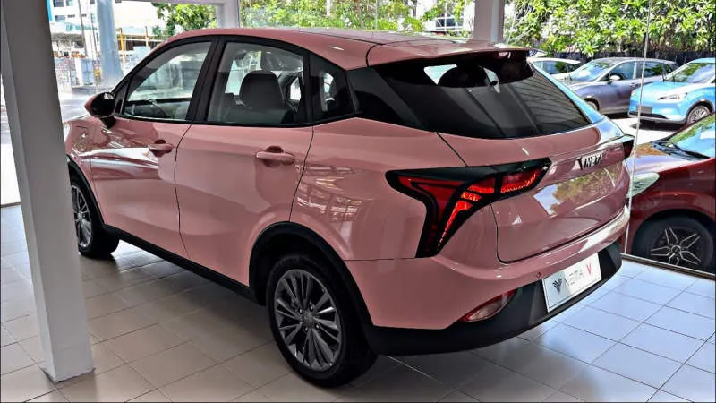 Neta V Sakura Pink
